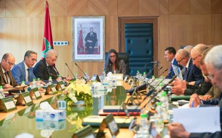 الوزيرة نادية فتاح ترأس اجتماع مجلس إدارة الصندوق المغربي للتقاعد