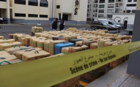 سيدي رحال..إحباط عملية كبرى للتهريب الدولي للمخدرات