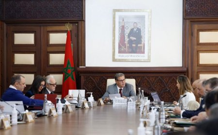 هذه تفاصيل اجتماع مجلس الحكومة