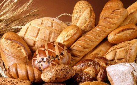 أرباب المخابز ..لا زيادة في سعر الخبز