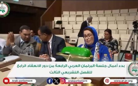 القاهرة..مناقشة مستجدات الأوضاع في الوطن العربي