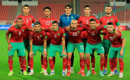تصفيات مونديال 2026.. الأسود يواجهون منتخبي زامبيا والكونغو 