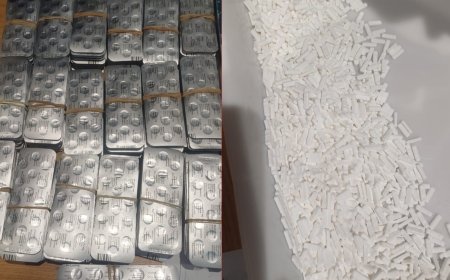 طنجة.. إحباط محاولة تهريب هذا النوع
