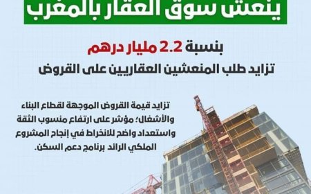 برنامج دعم السكن ينعش سوق العقار