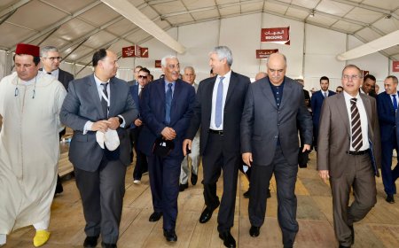 مكناس: وزير الفلاحة يزور موقع المعرض الدولي للفلاحة بالمغرب