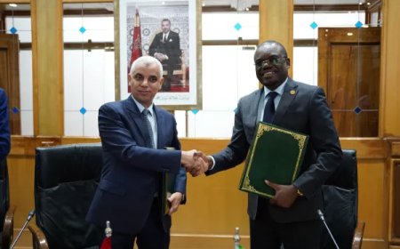 المغرب يستضيف المؤتمر الدولي الرابع حول الصحة العامة بإفريقيا