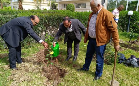 المعهد العالي للمهن التمريضية بفاس.. ورش بيئي بمشاركة الطلبة