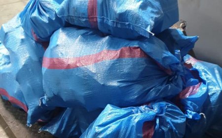 ميناء طنجة المتوسط..إحباط محاولة تهريب كمية كبيرة من مخدر الشيرا