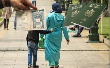 جديد.. سحب أو تجديد الأم لجواز سفر أطفالها دون موافقة الأب