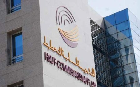 إطلاق منصة للتكوين الإلكتروني لفائدة المشاركين في إنجاز الإحصاء