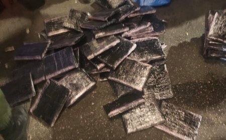 طنجة.. إحباط محاولة للتهريب الدولي