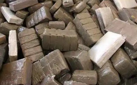 طنجة: إحباط محاولة تهريب 80 كيلوغرام من مخدر الشيرا
