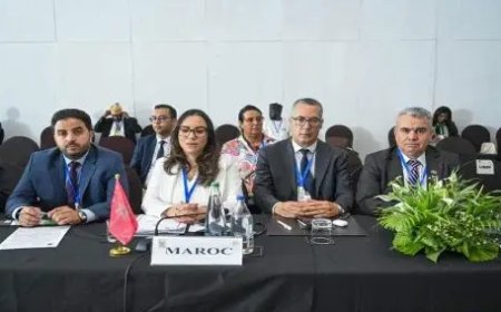 منظمة المؤتمر الإسلامي..انتخاب المغرب عضوا في ثلاث هيئات