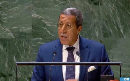 تعيين عمر هلال ميسرا للقمة الاجتماعية العالمية
