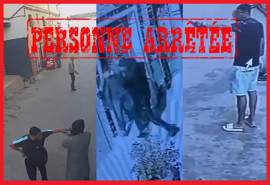 طنجة..حجز كميات من المخدرات