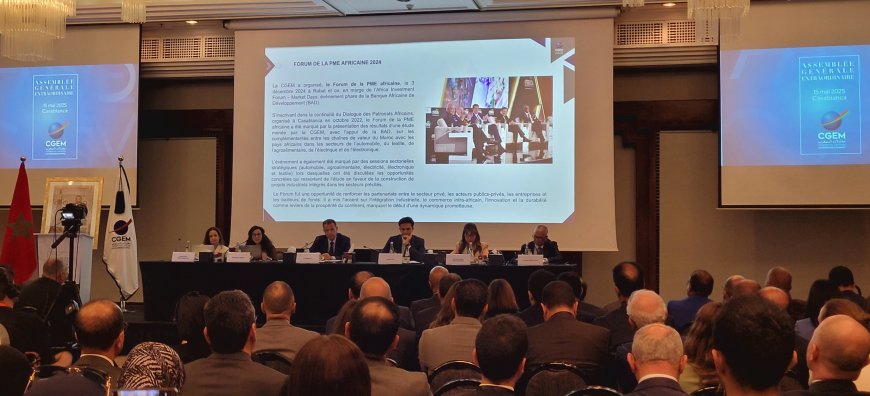 Critiques pouvant être adressées à la CGEM durant la période 2019-2025