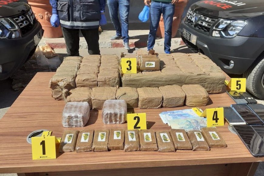 طنجة..إحباط عملية تهريب نوعية