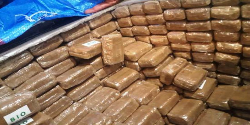 إيمينتانوت..إحباط محاولة تهريب كمية كبيرة من مخدر الشيرا