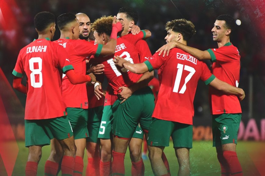لأسود يواجهون ليسوتو في الجولة الأخيرة من التصفيات