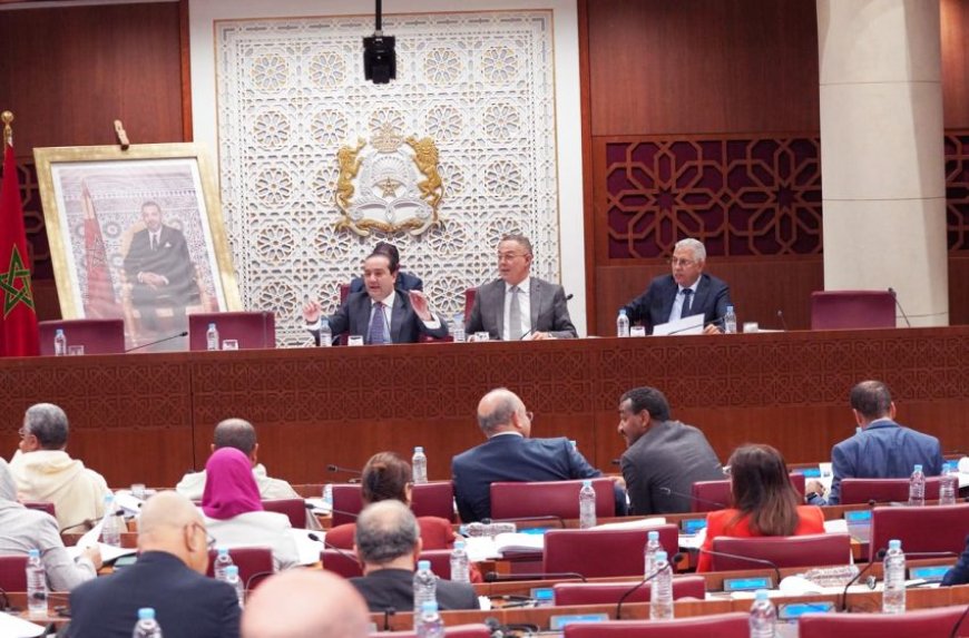 لجنة المالية تصادق بالأغلبية على الجزء الأول من مشروع قانون المالية لسنة 2025