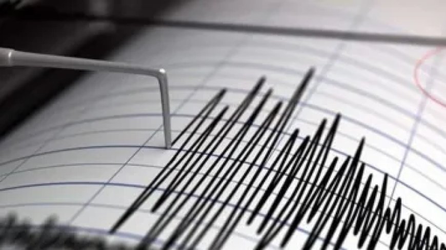 عاجل..هزة أرضية بمنطقة عين اللوح