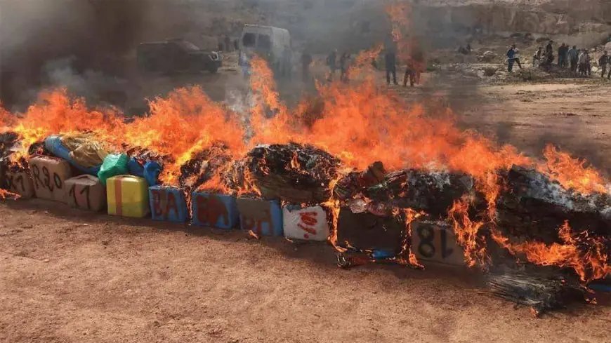آسفي..حرق أزيد من 8 أطنان من الشيرا ومواد مخدرة أخرى
