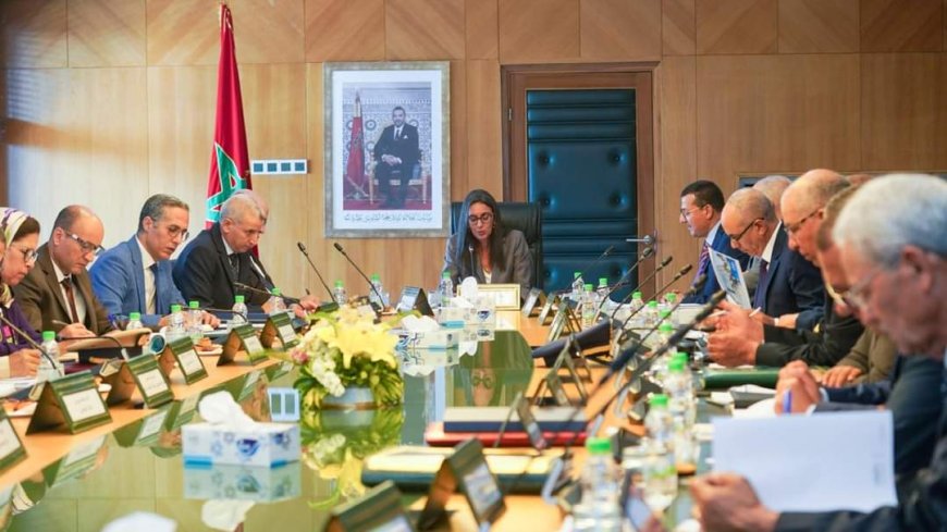 الوزيرة نادية فتاح ترأس اجتماع مجلس إدارة الصندوق المغربي للتقاعد