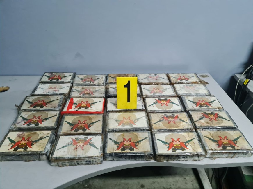 طنجة.. فتح بحث قضائي لتحديد ظروف وملابسات محاولة تهريب شحنات من مخدر الكوكايين