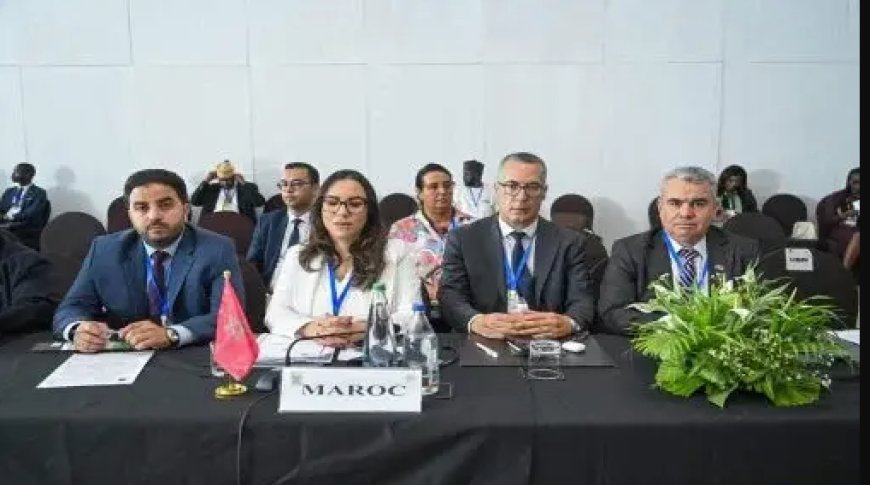 منظمة المؤتمر الإسلامي..انتخاب المغرب عضوا في ثلاث هيئات