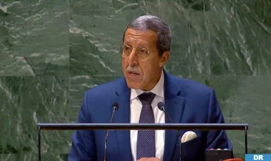 تعيين عمر هلال ميسرا للقمة الاجتماعية العالمية