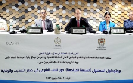 دورة تكوينة للأطباء الشرعيين حول بروتوكول إسطنبول