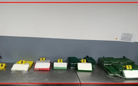 فتح بحث قضائي للكشف عن شبكة دولية وراء محاولة تهريب كوكايين من البرازيل إلى المغرب