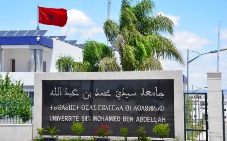 جامعة سيدي محمد بن عبد الله الأولى حسب تصنيف Times Higher