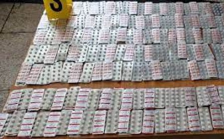 ميناء طنجة المتوسط: إحباط محاولة تهريب أدوية مخدّرة