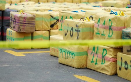 تفكيك شبكة دولية لتهريب الحشيش بين المغرب وجزر الكناري