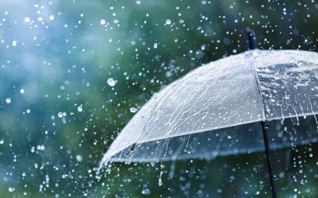 أحوال لطقس..نزول أمطار أو زخات رعدية بعدد من مناطق المملكة