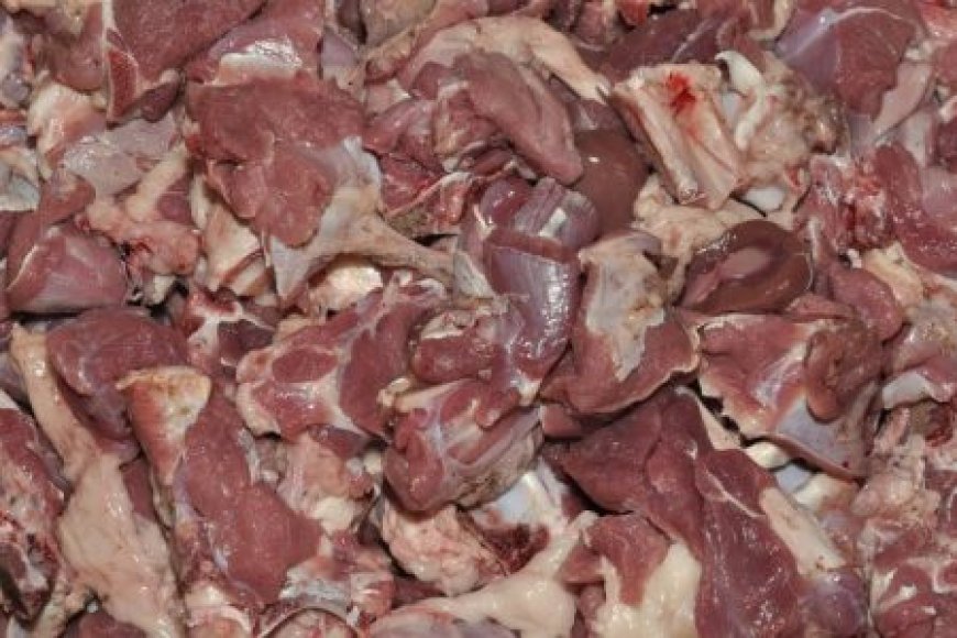 تطوان..حجز 200 كلغ من اللحوم الحمراء الفاسدة بأحد المحلات