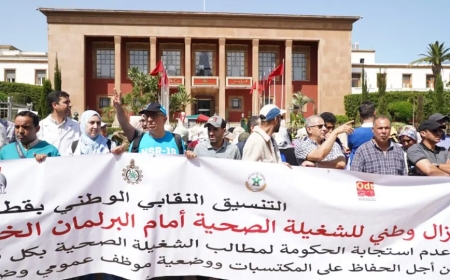 قطاع الصحة ..وقفات احتجاجية وطنية ودعوة إلى مقاطعة انتخابات "المجموعة الترابية" طنجة تطوان الحسيمة