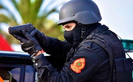 الناظور.. الشرطة تضطر لإطلاق رصاصة لتعطيل سيارة سائق متهور