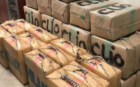 ميناء طنجة المتوسط.. إجهاض محاولة تهريب كمية كبيرة من مخدر الشيرا
