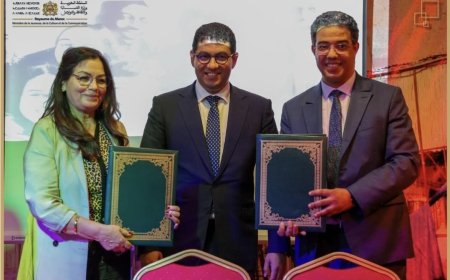 دينامية متجددة للنهوض بقطاع الشباب بجهة فاس–مكناس