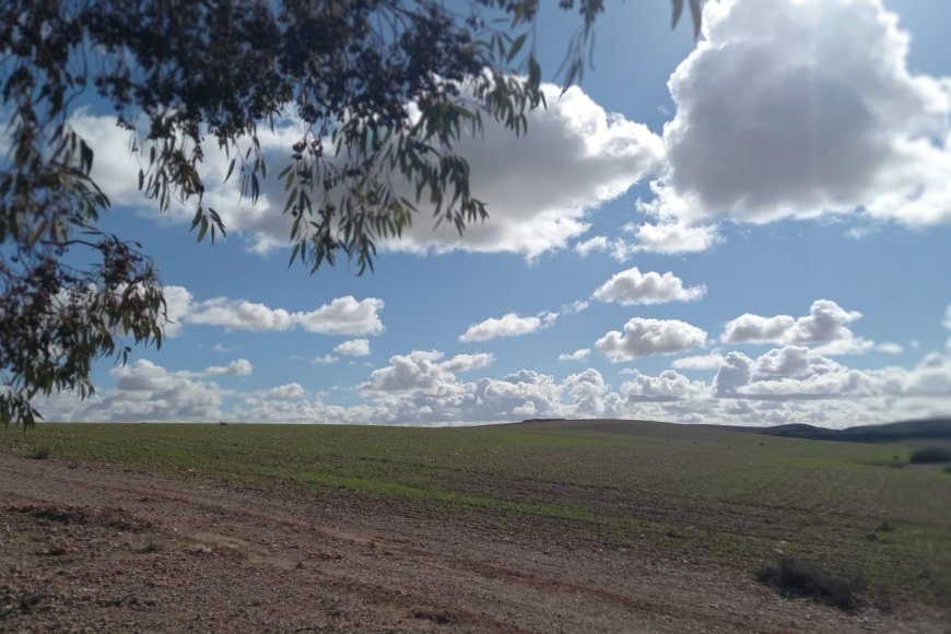 توقعات أحوال الطقس لنهار اليوم الخميس