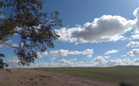 الأرصاد الجوية..استقرار عام في الأجواء مع انخفاض  في درجة الحرارة مطلع الأسبوع المقبل