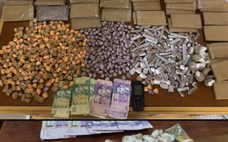 طنجة.. توقيف 7 أشخاص متلبسين بترويج المخدرات