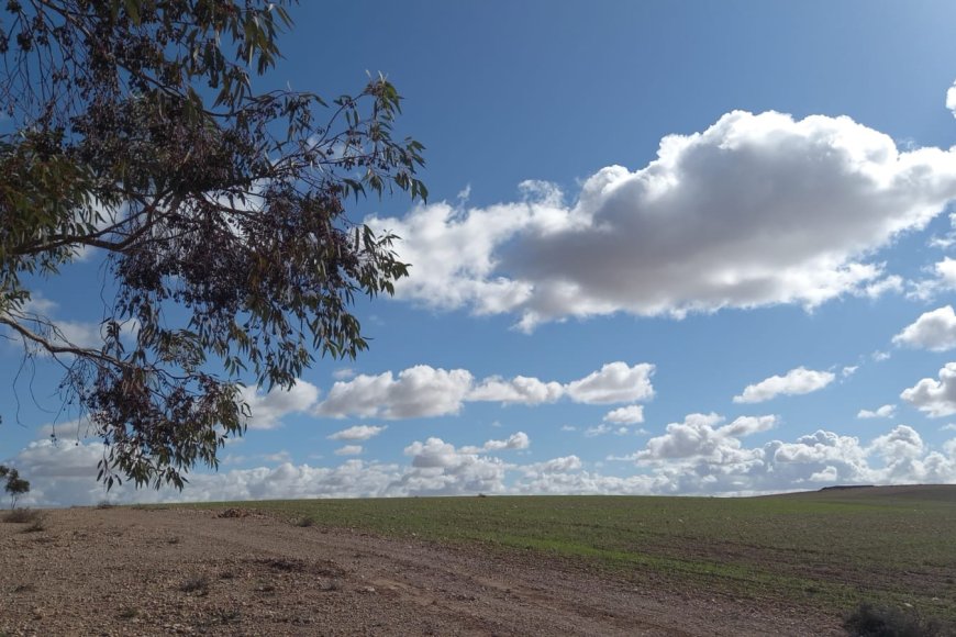 الأرصاد الجوية..استقرار عام في الأجواء مع انخفاض  في درجة الحرارة مطلع الأسبوع المقبل