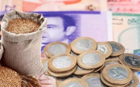 هذا هو مقدار زكاة الفطر لعام 1447ه/2026م