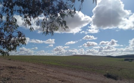 هذه توقعات أحوال الطقس لنهار اليوم