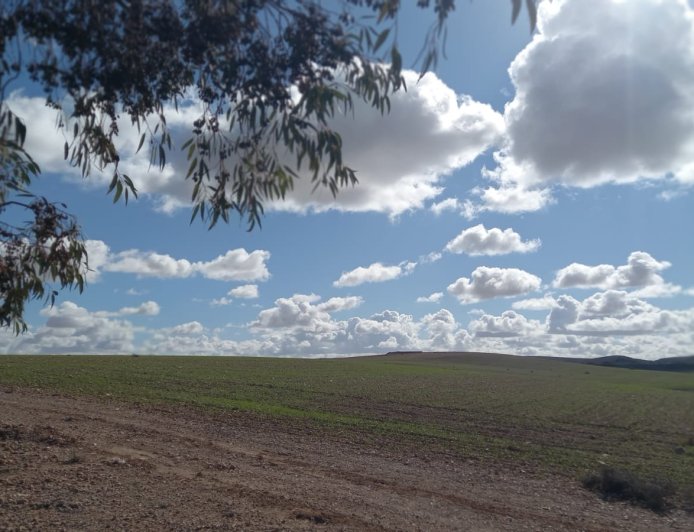 توقعات أحوال الطقس لنهار اليوم