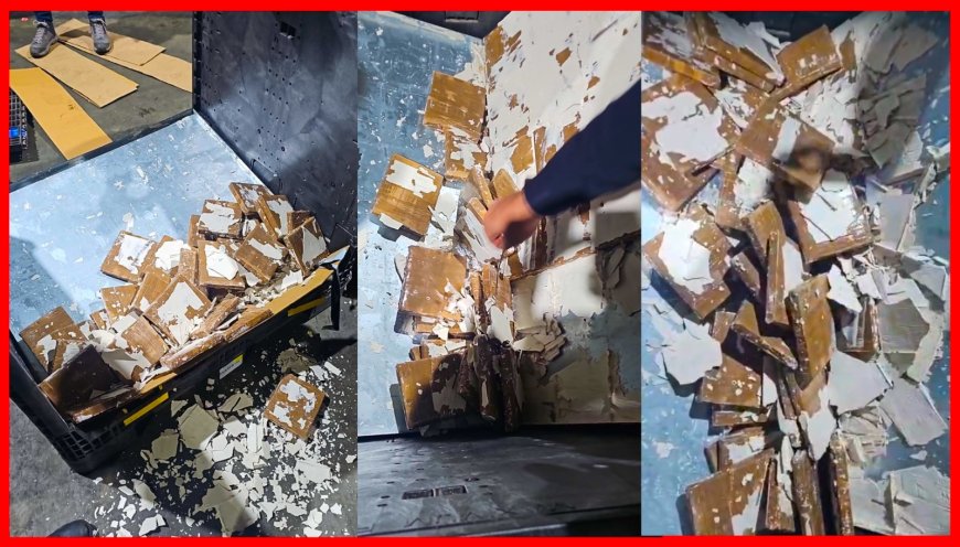 ميناء طنجة..إحباط تهريب أزيد من طن من مخدر الشيرا