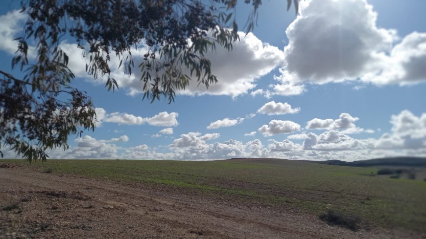 هذه توقعات أحوال الطقس لنهار اليوم